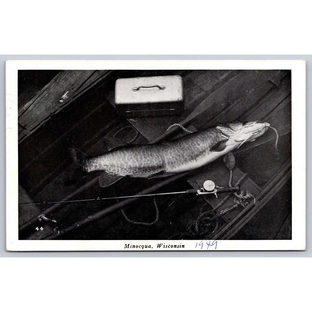 Postcard Wisconsin Minocqua Fish Rod Reel Tackle Box Posted 1949 Muskie WI